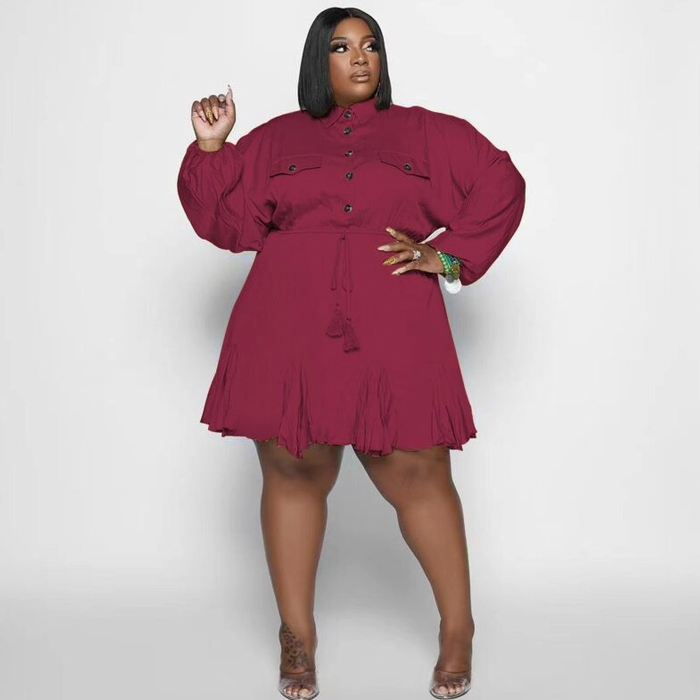 Plus Size Swing Flared Midi Dress