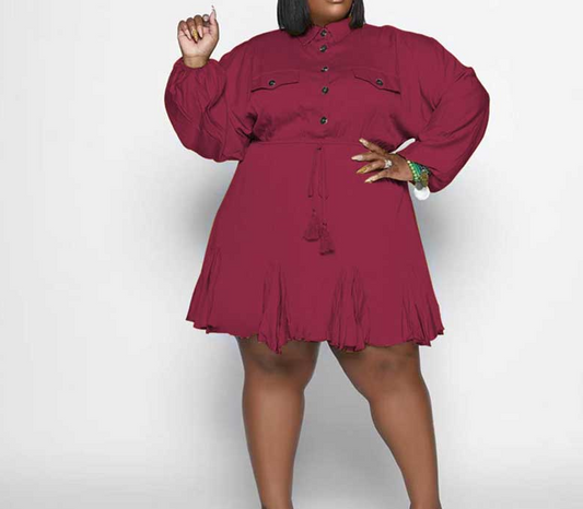 Plus Size Swing Flared Midi Dress