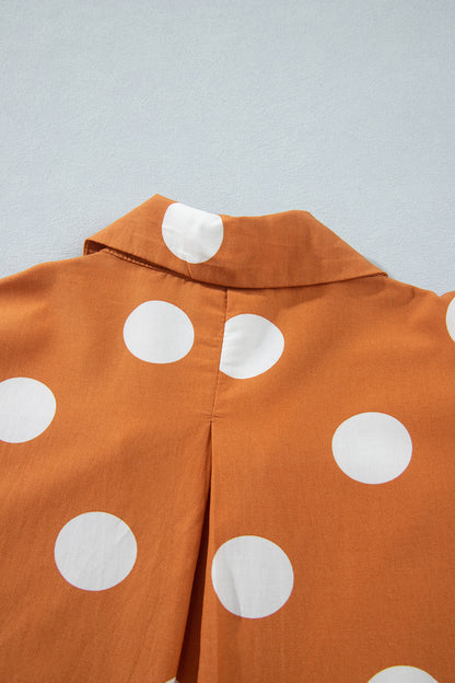 Brown Polka Dot Long Sleeve Tie Waist Casual Shift Mini Dress