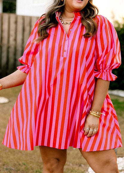 Rose Stripe Frilled Collar Button Neck Short Sleeve Curvy Mini Dress
