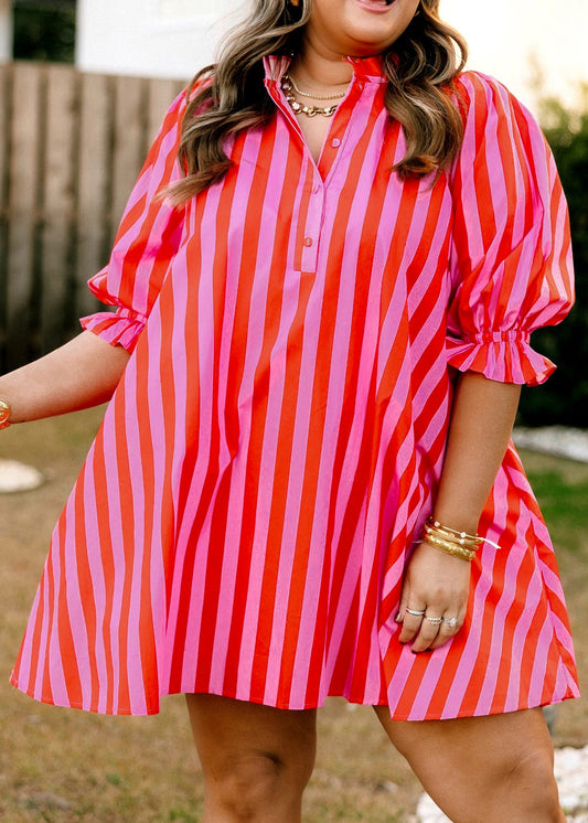 Rose Stripe Frilled Collar Button Neck Short Sleeve Curvy Mini Dress
